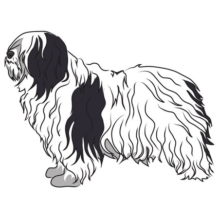 Signmission Polish Lowland Sheepdog Dog Decal, Dog Lover Decor Vinyl Sticker D-12-Polish Lowland Sheepdog